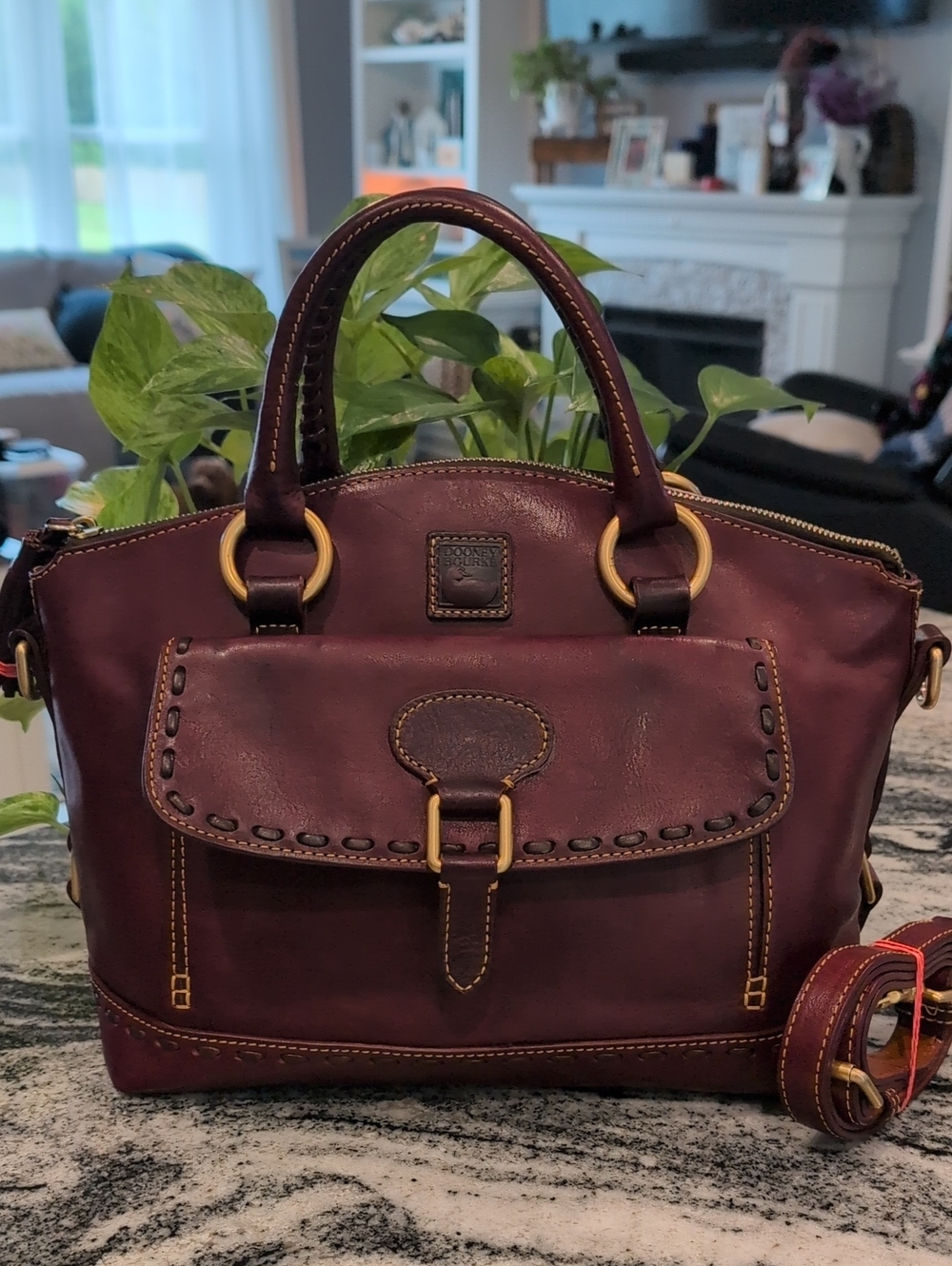Dooney & Bourke Florentine Oxblood Smooth Leather Satchel Bag